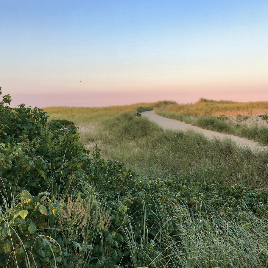 Nantucket With Kids  | Maisonette