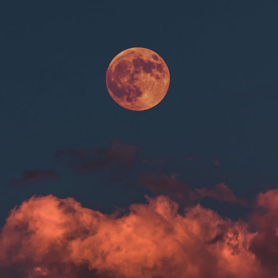 We’ll Take the Supermoon for a Walk - How to Celebrate a Full Moon 