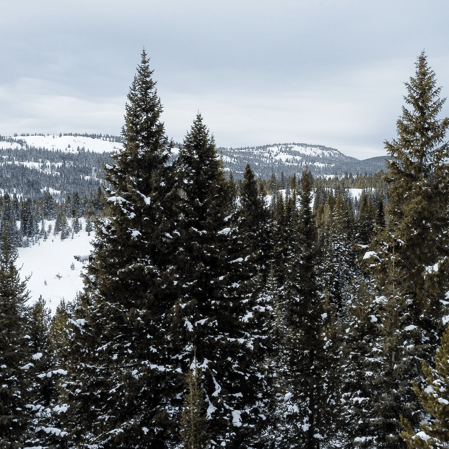 What To Do in Vail With Kids | Maisonette