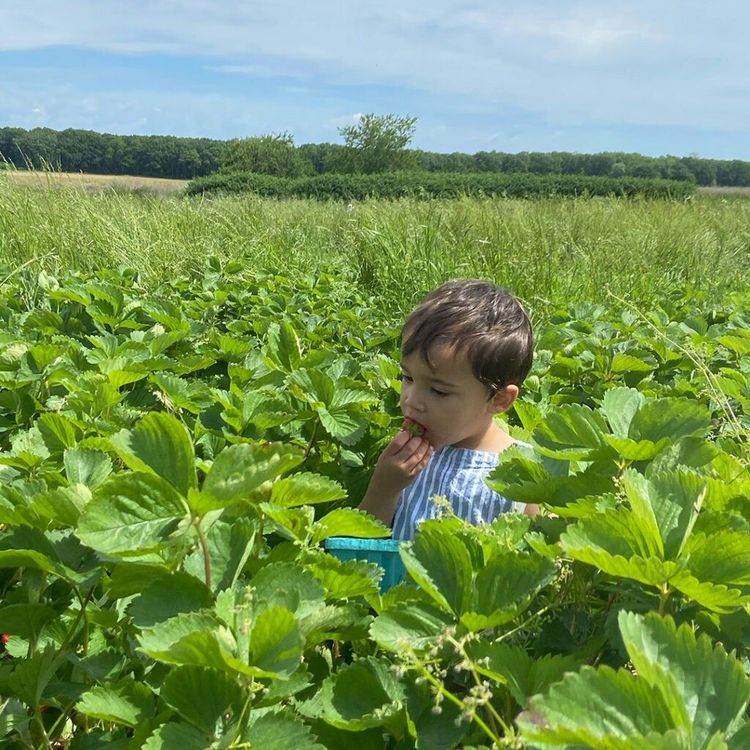 Should We All Be Summer Moms? - Maisonette