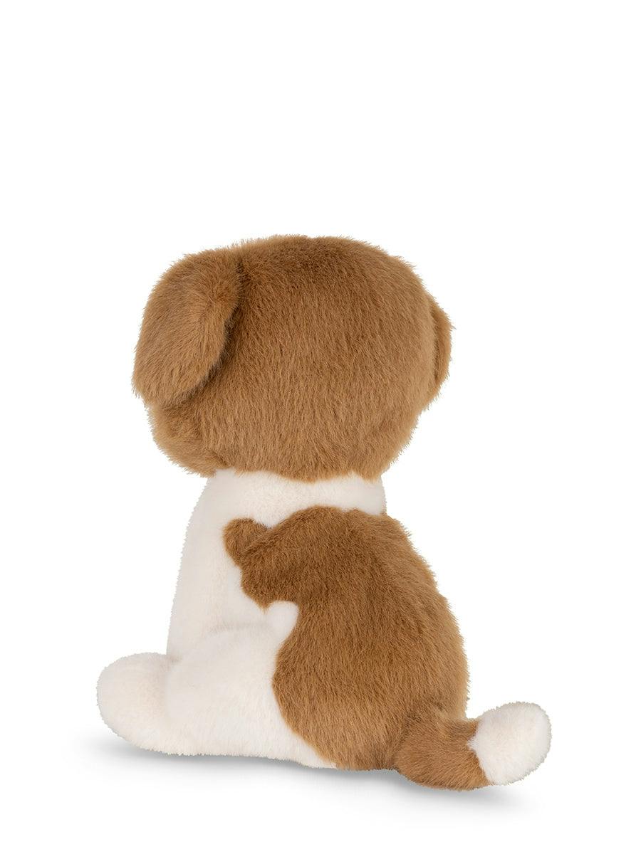 Herman the St. Bernard ECO - 7