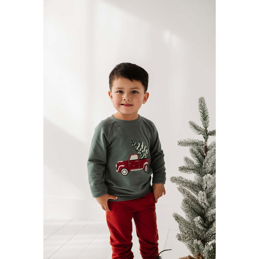 Raglan Sweatshirt Christmas Dogs