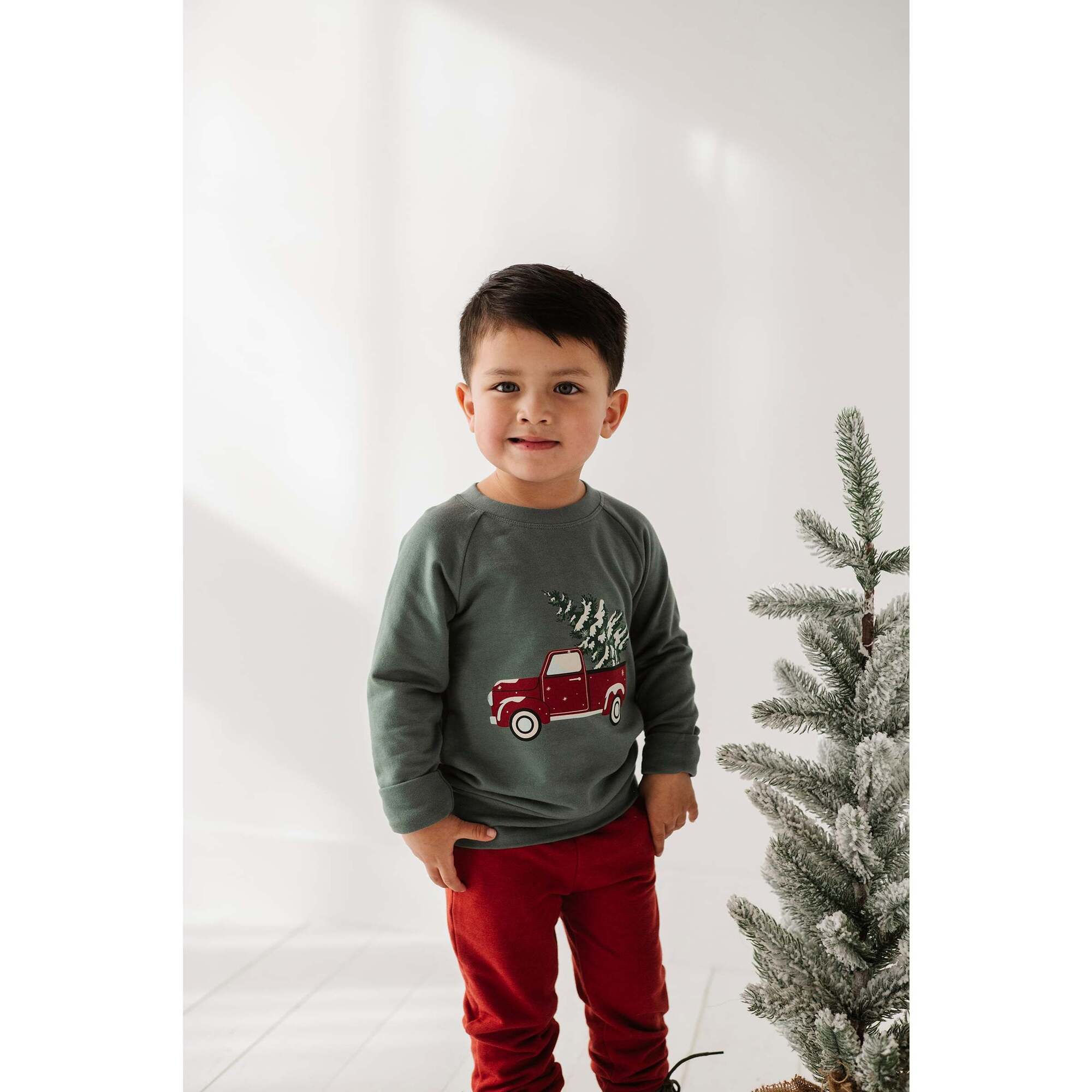 Raglan Sweatshirt Christmas Dogs
