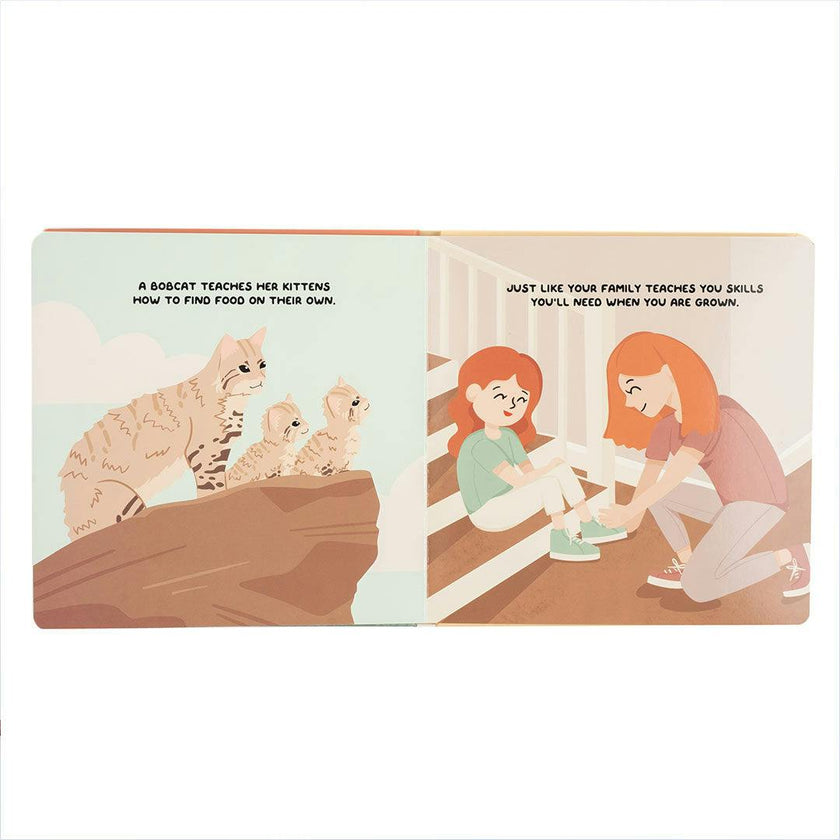 Lucy's Room All About Family Board Book Orange/Multi