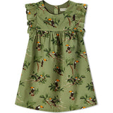 Ruffle Dress & Bloomers