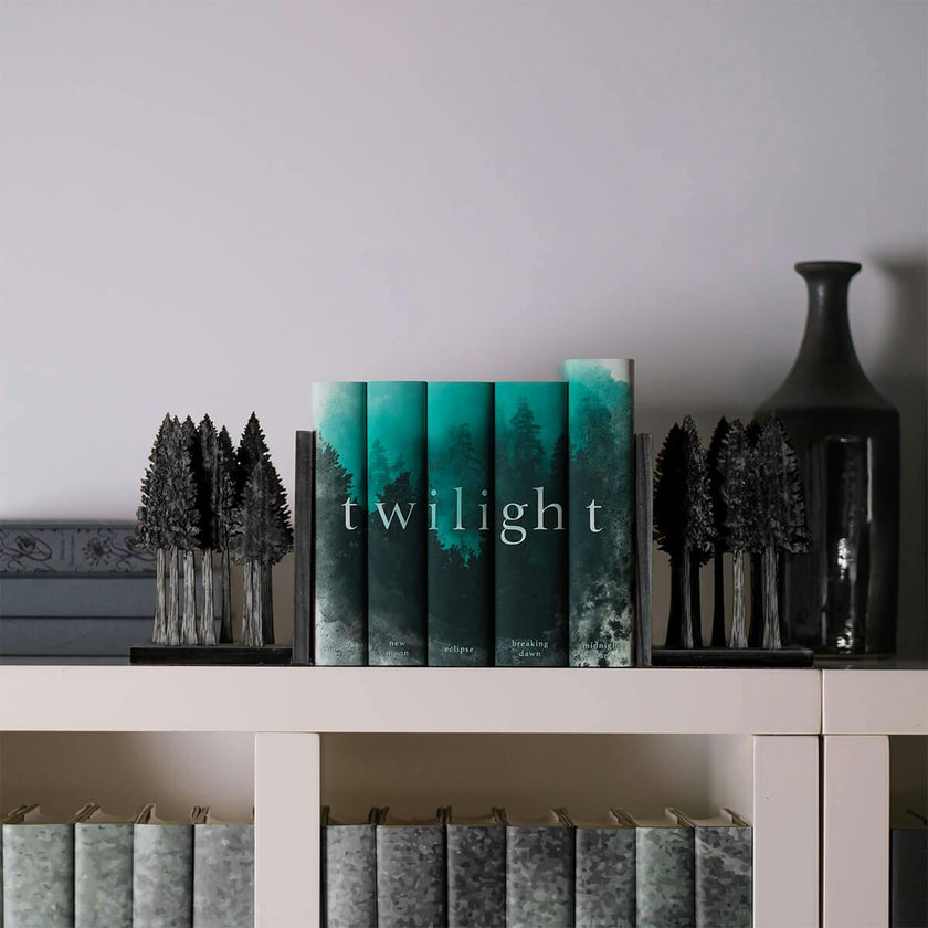 Twilight Saga by Stephenie Meyer Book Set