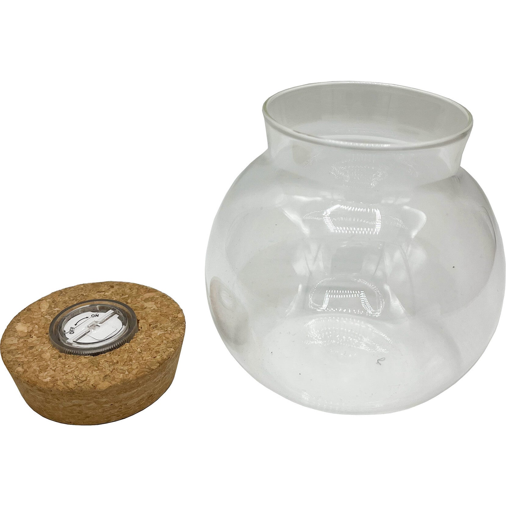 Glass Terrarium: 4