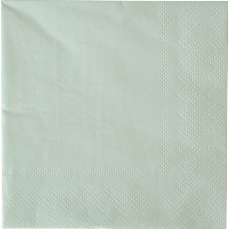 Shades Pistachio Large Napkins