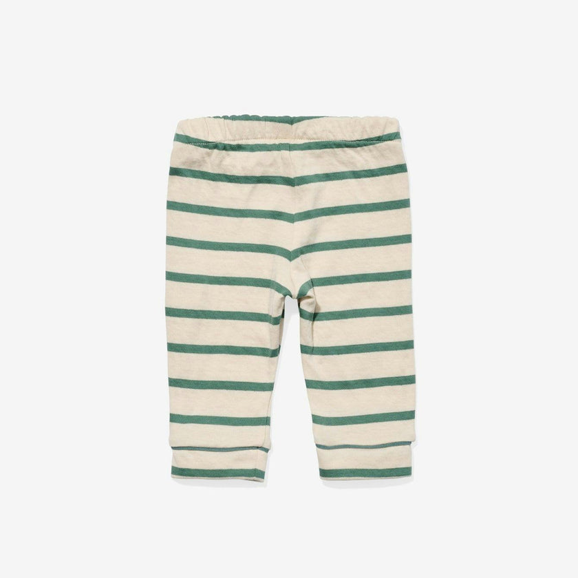 Andy Baby Legging