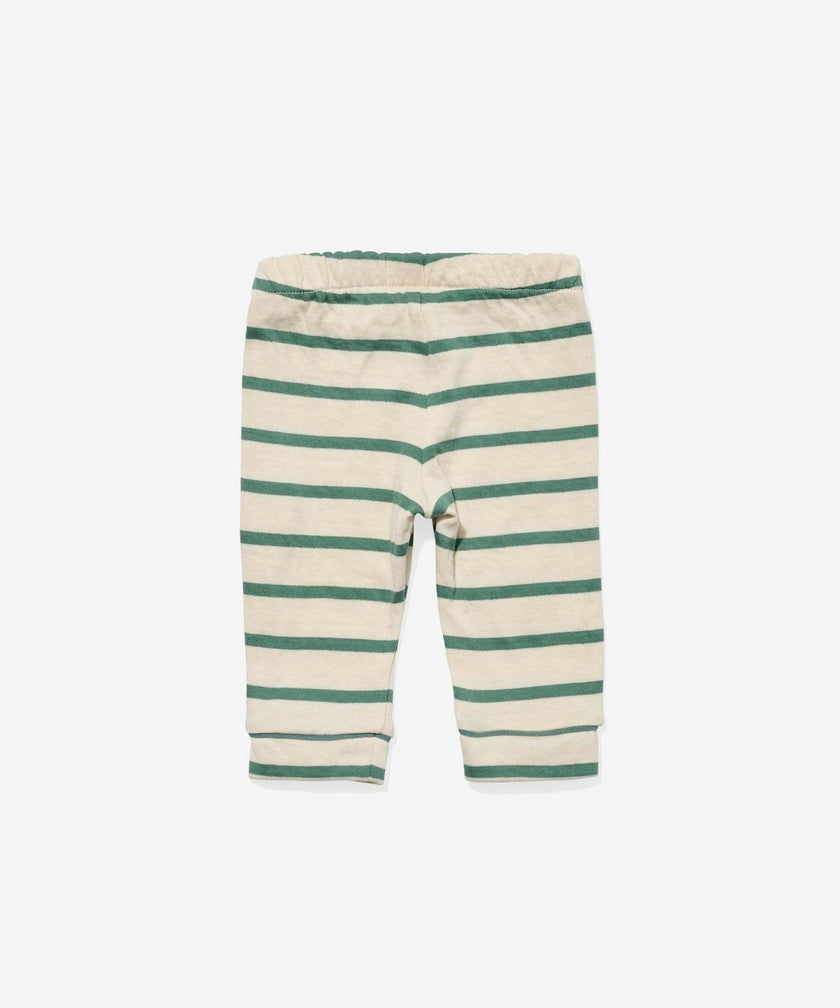 Andy Baby Legging