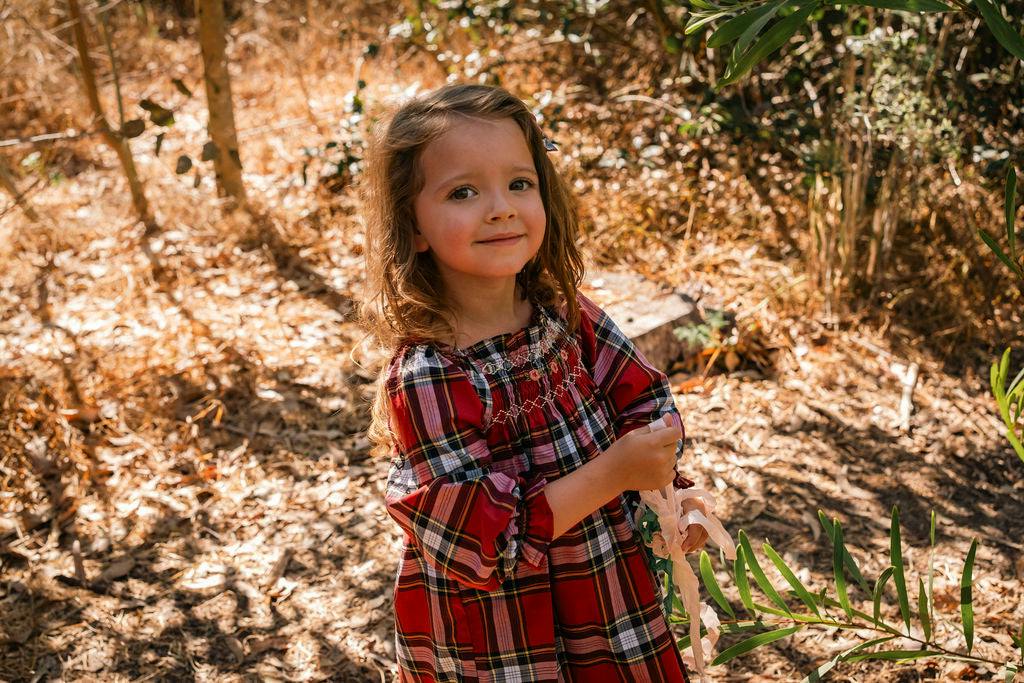Nora Dress in Heritage Tartan