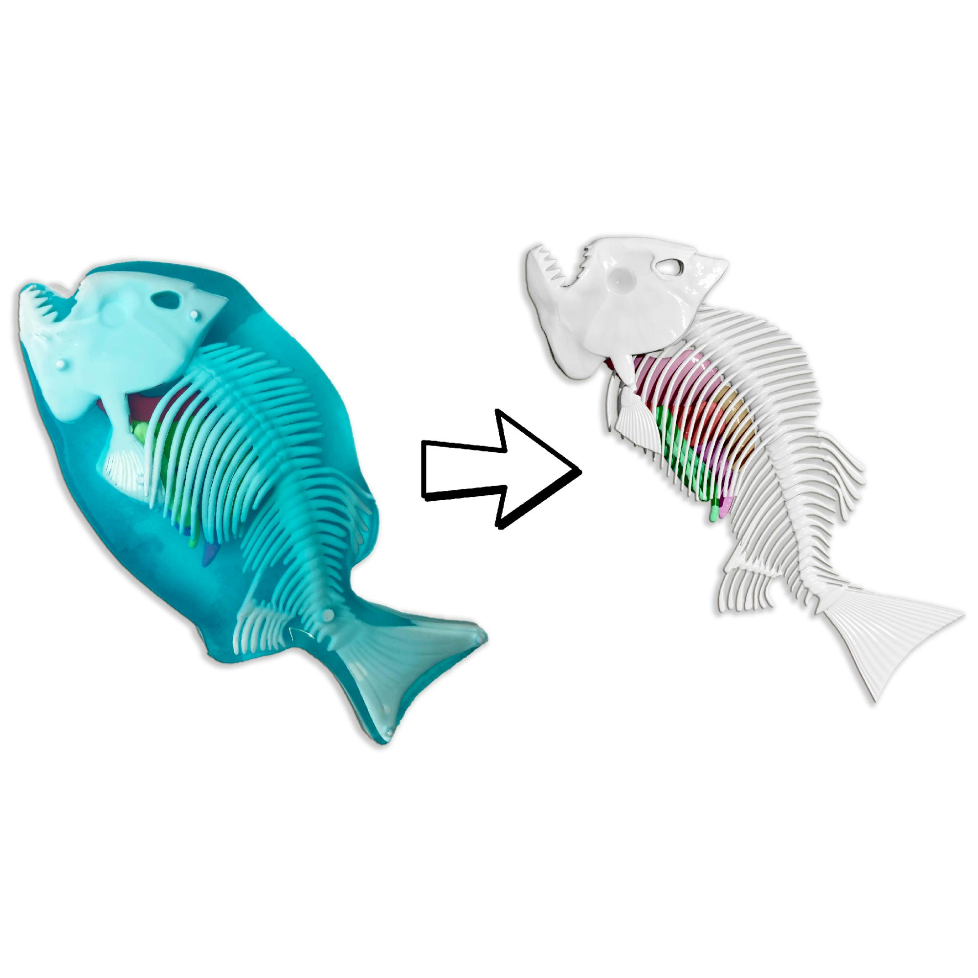 Dissect-It: Piranha Lab