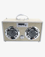 Bluetooth Fm Radio W LED Speakers