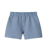 Boys Stretch Seersucker Shorts | Navy Stripe