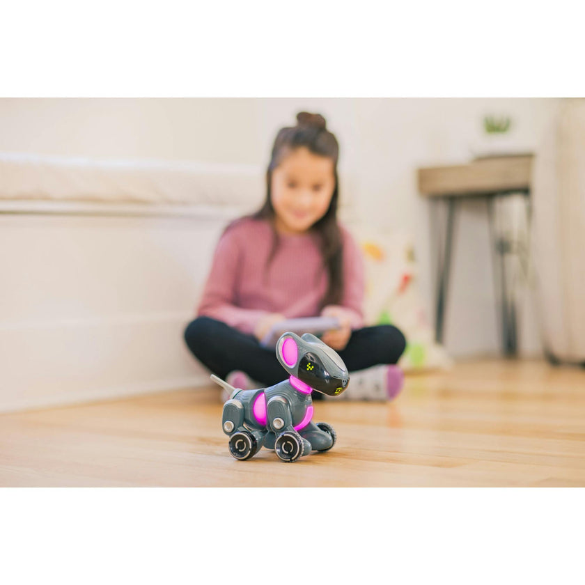 Pyxel The Coding Pet