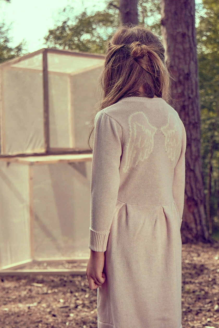 Angel Dress | Blush