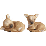 Reino & Rolf Calves