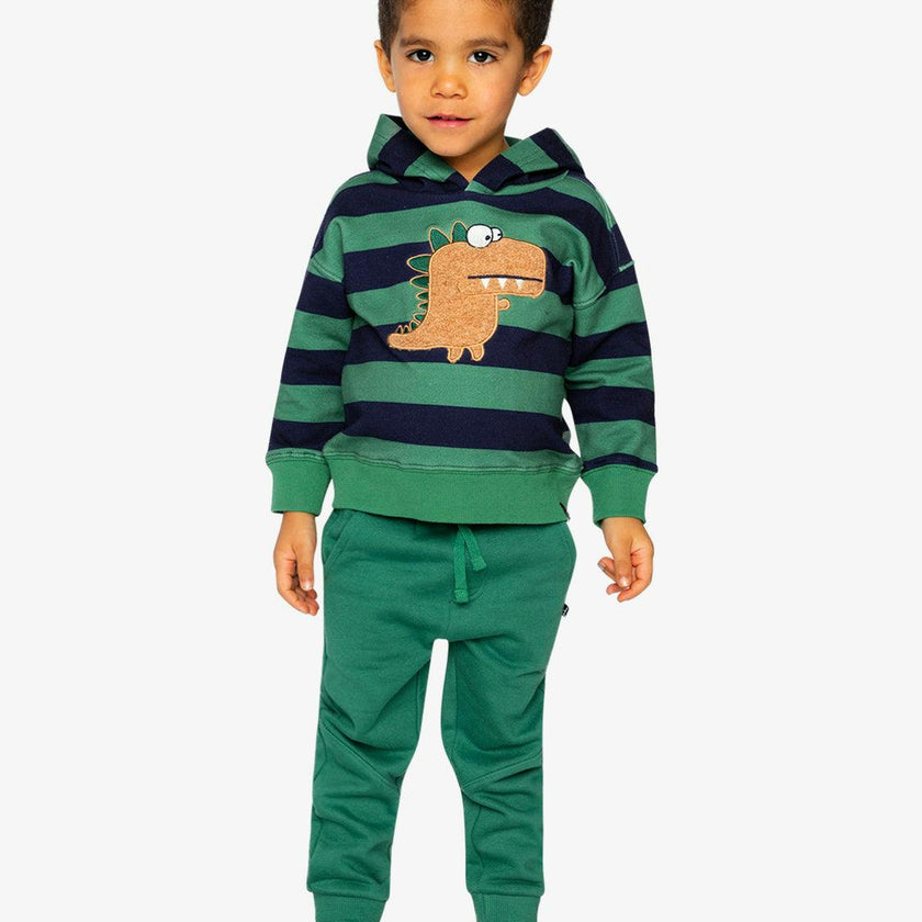 Fleece Hoodie with Applique Blue Striped Green