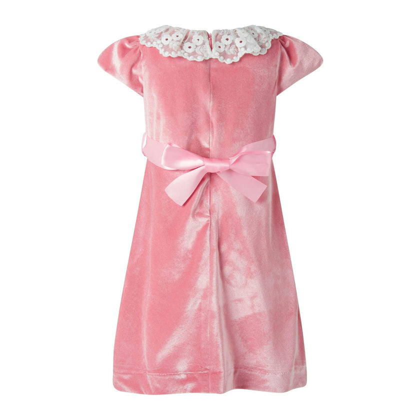 Lace Collar Velvet Dress