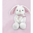 Personalized Little Welcome Baby Hamper