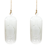 Glass Terrarium: Carefree Capsule - 2 Pack