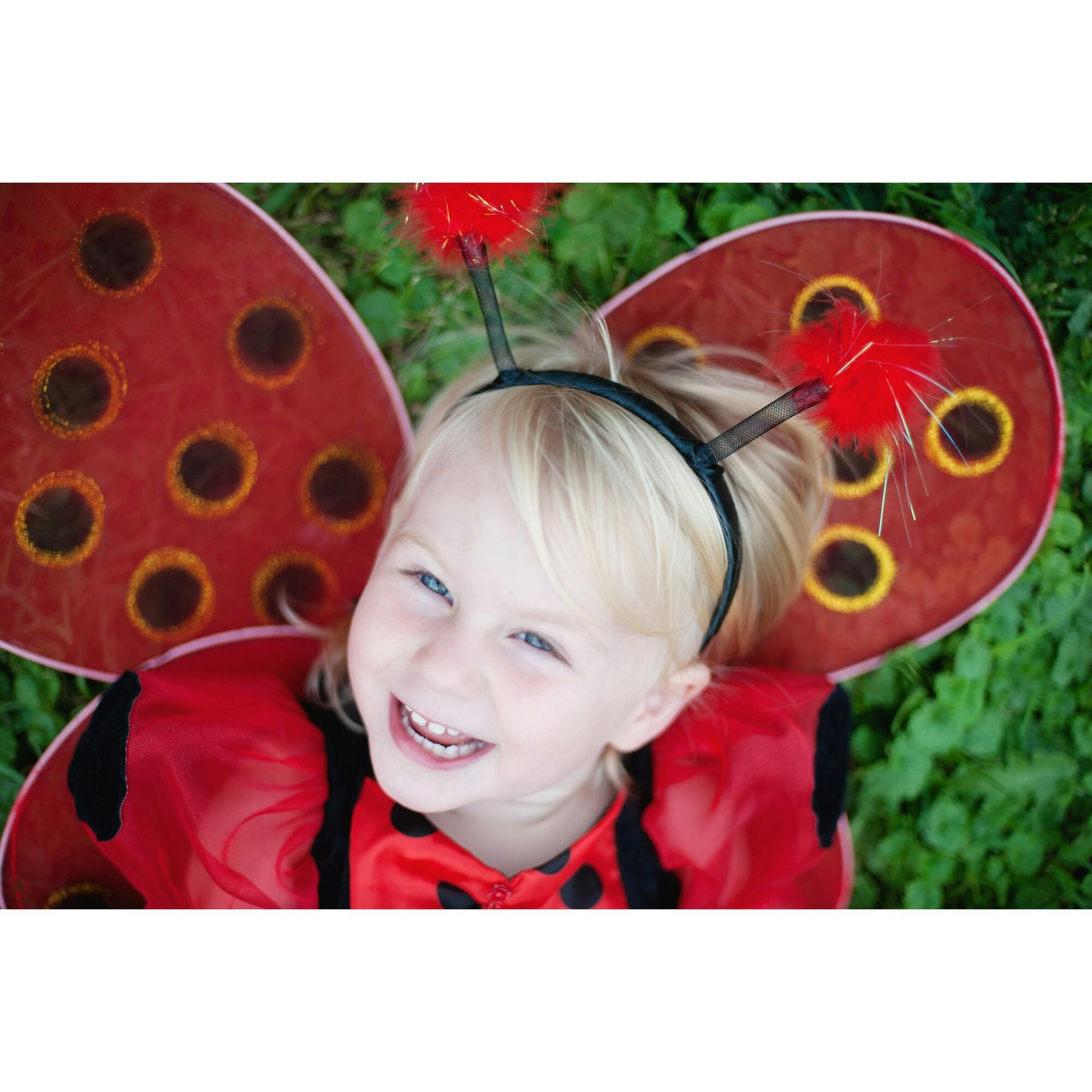 Ladybug and Bumblebee Wings Bundle
