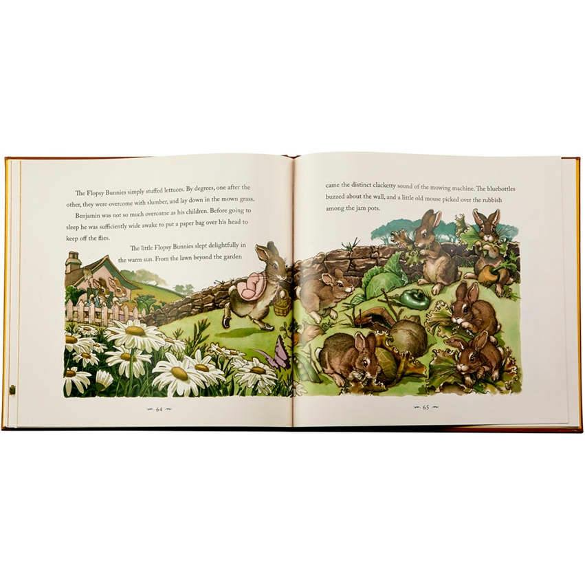 The Classic Tale of Peter Leather Bound Classic Children's Book