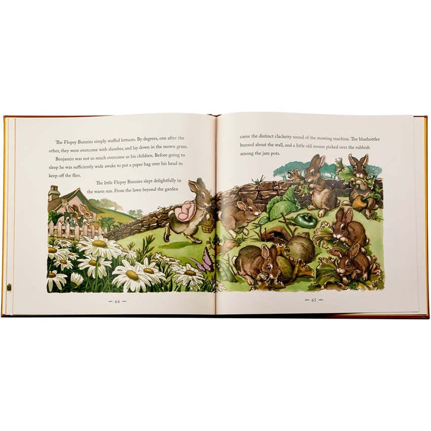 The Classic Tale of Peter Leather Bound Classic Children's Book