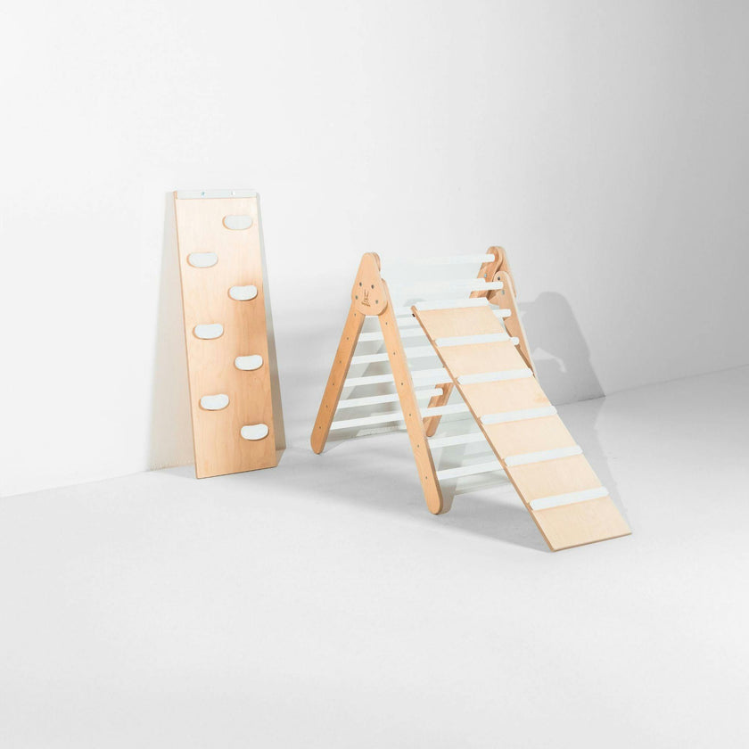 Classic Climber Playset