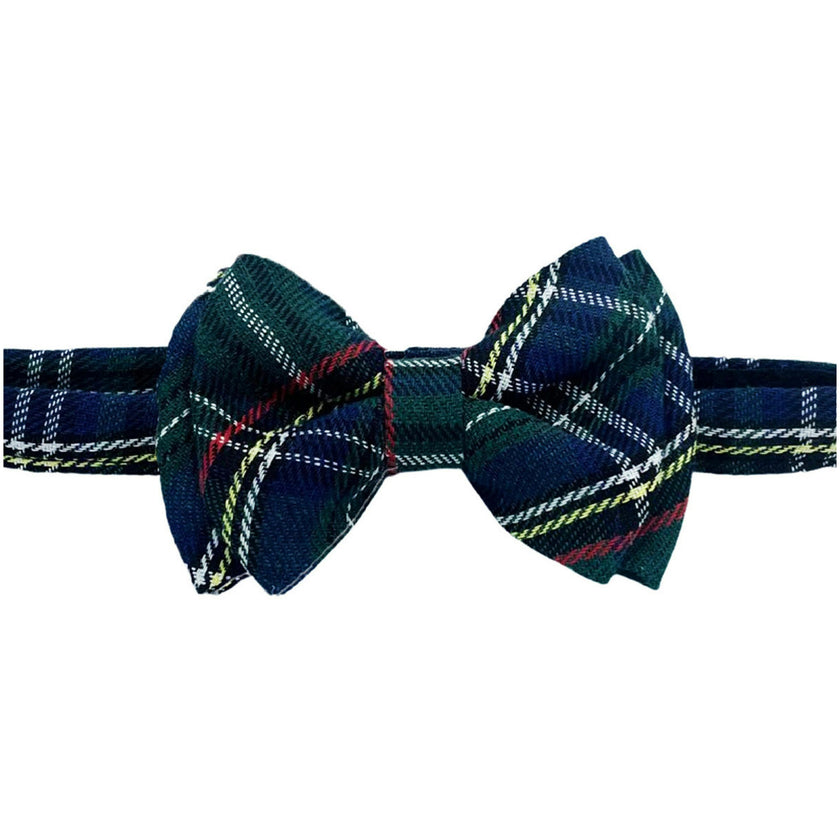 Plaid Bow Tie in Tilly Tartan
