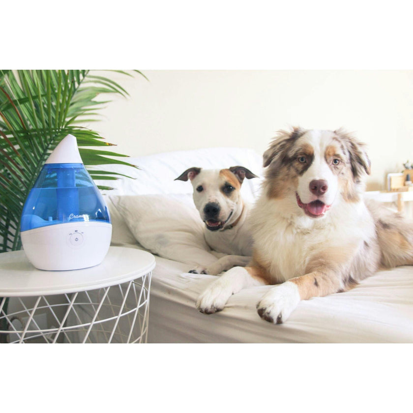 Droplet Ultrasonic Cool Mist Humidifier