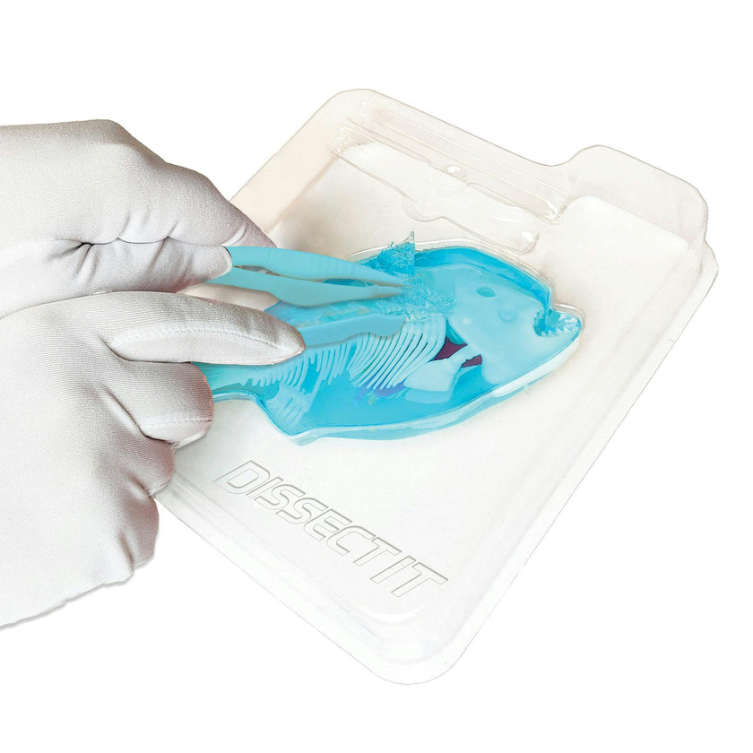 Dissect-It: Piranha Lab