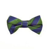 Henley Silk Bow Tie - Blue & Green Varsity Stripes