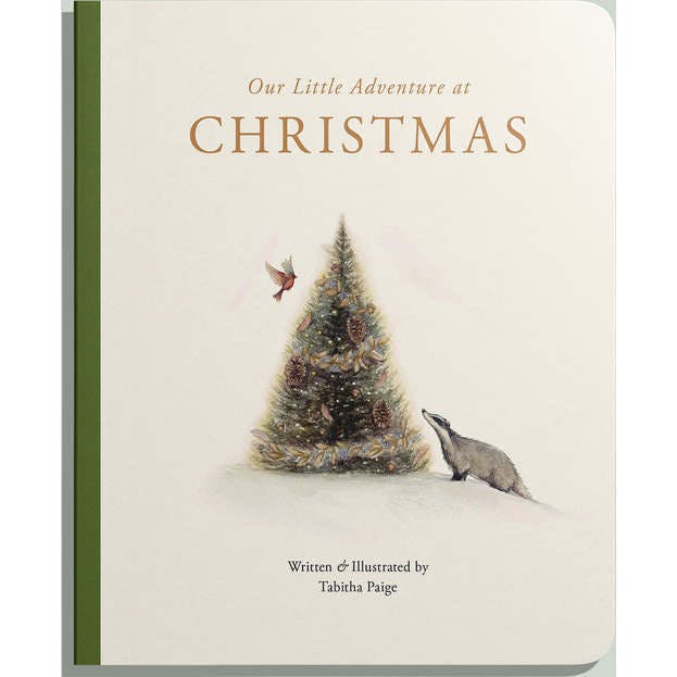 Our Little Adventure at Christmas