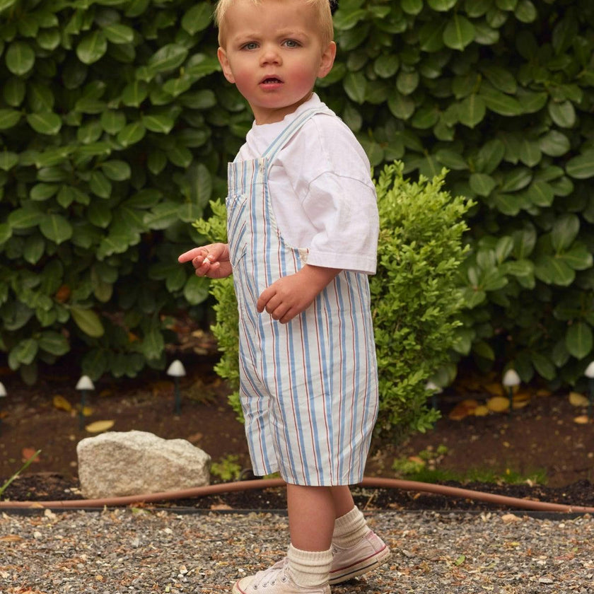 Baby Boys Alex Overalls in Heritage Stripe