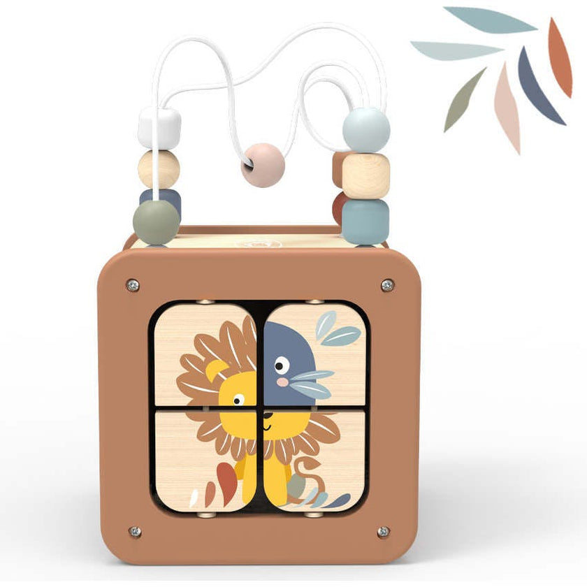 5 in 1 Activity cube
