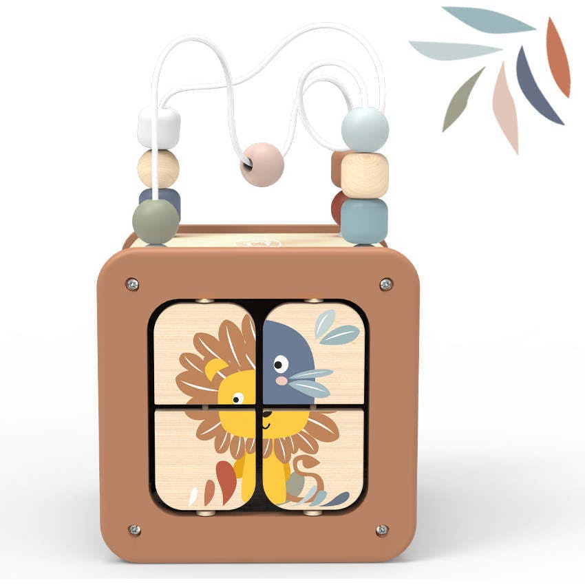 5 in 1 Activity cube