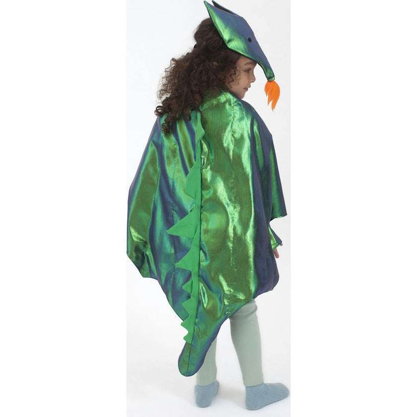 Dragon Costume