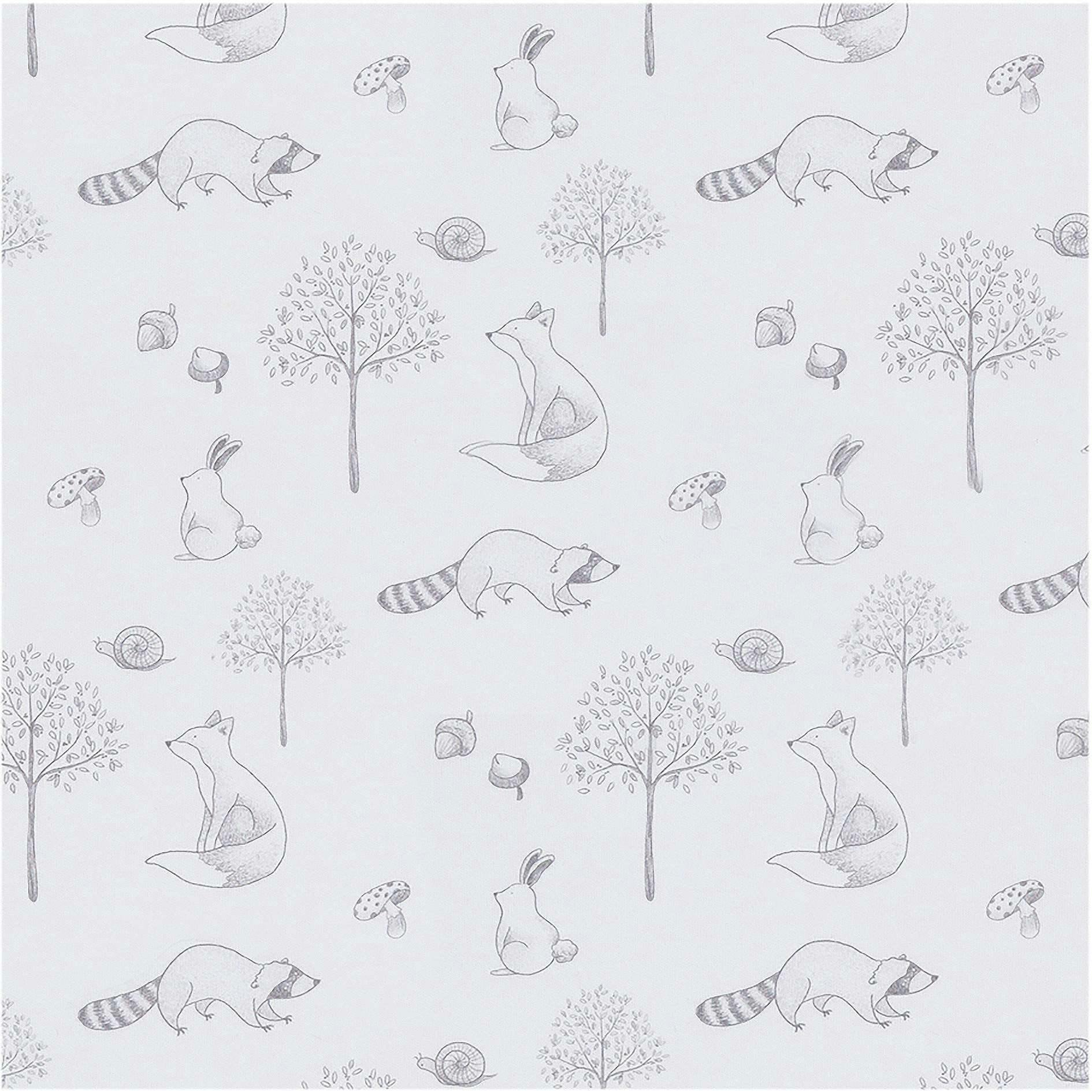 Gray Raccoon Pima Baby Pajama