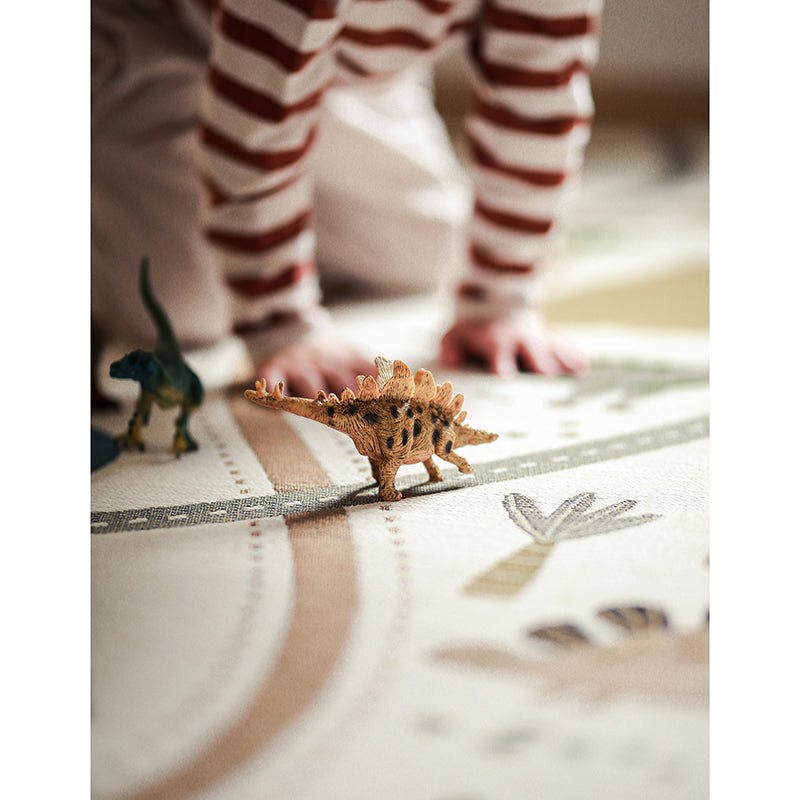 Flat Woven Graphic Print Rectangular Play Rug