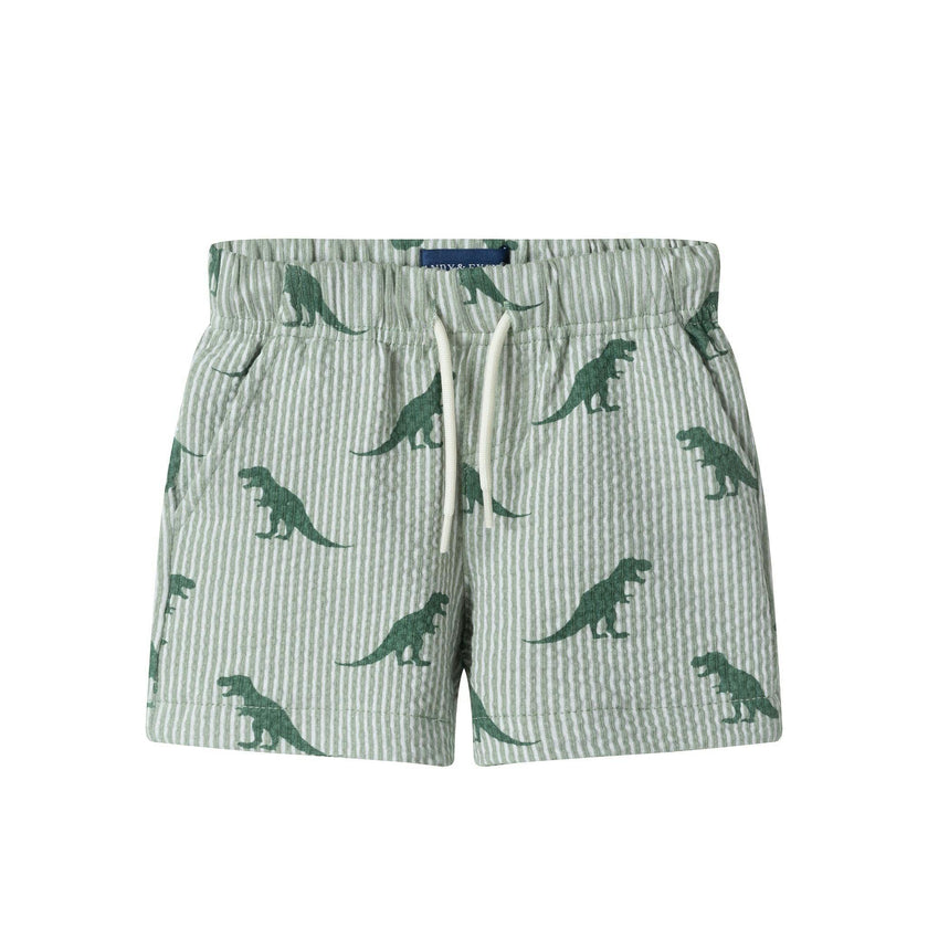 Infant Boys Short Sleeve Cabana Set | Green Stripe Dino