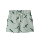 Infant Boys Short Sleeve Cabana Set | Green Stripe Dino