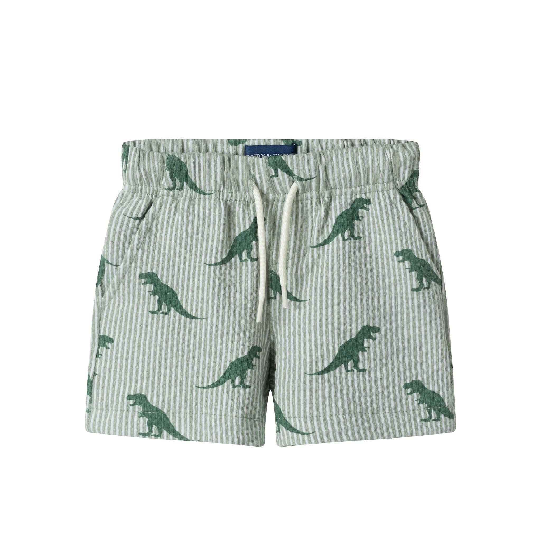 Infant Boys Short Sleeve Cabana Set | Green Stripe Dino