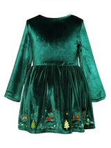 Green Holiday Dress for Girls