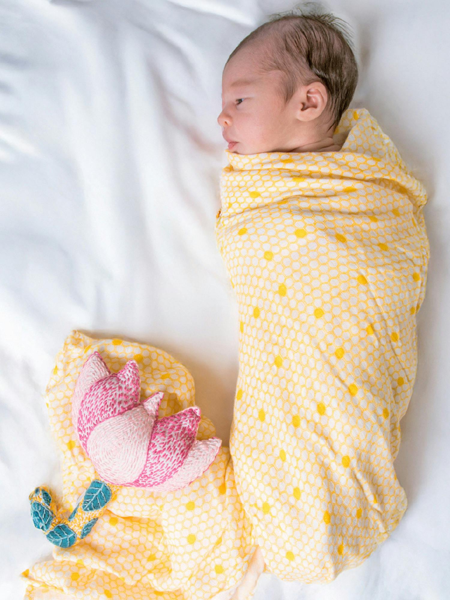 Organic Muslin Swaddle Gift Set