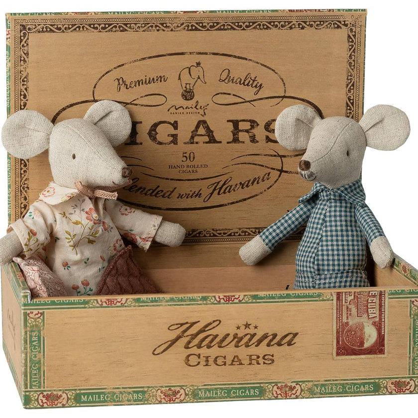 Grandma and grandpa mice in cigarbox