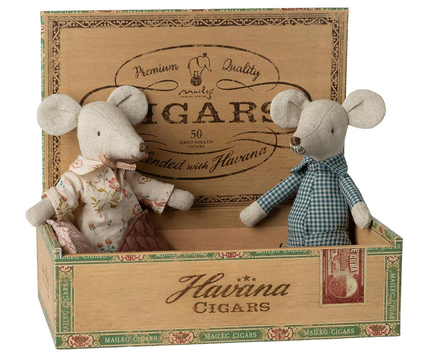 Grandma and grandpa mice in cigarbox