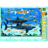 Smart Kids: Chart - 100 pc Puzzle