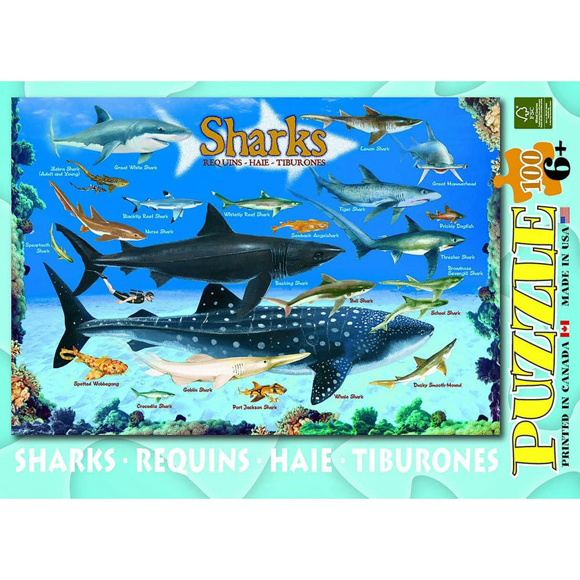 Smart Kids: Chart - 100 pc Puzzle