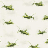 Grasshopper Organic Cotton Knotted Beanie Hat
